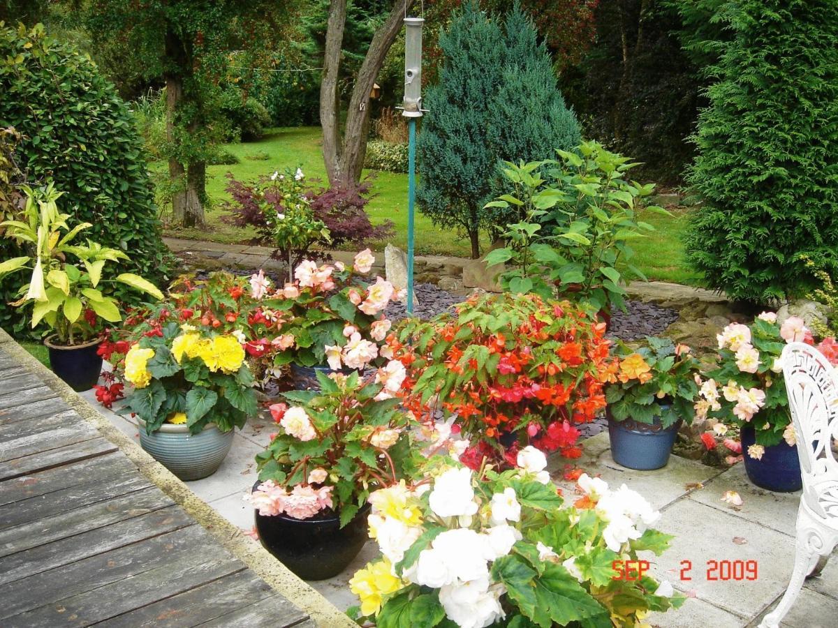 The Willows Bed & Breakfast York Buitenkant foto