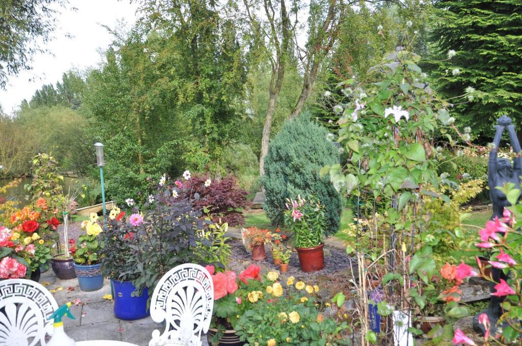The Willows Bed & Breakfast York Buitenkant foto