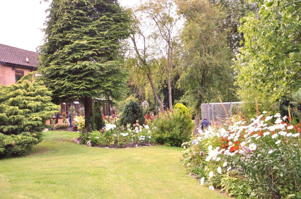 The Willows Bed & Breakfast York Buitenkant foto