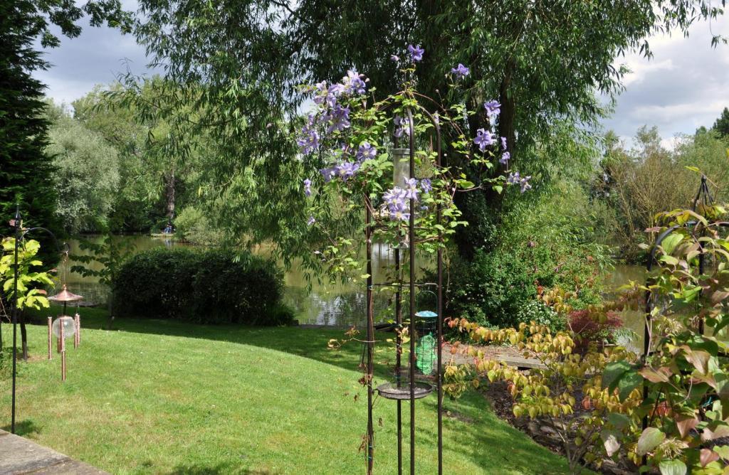 The Willows Bed & Breakfast York Buitenkant foto